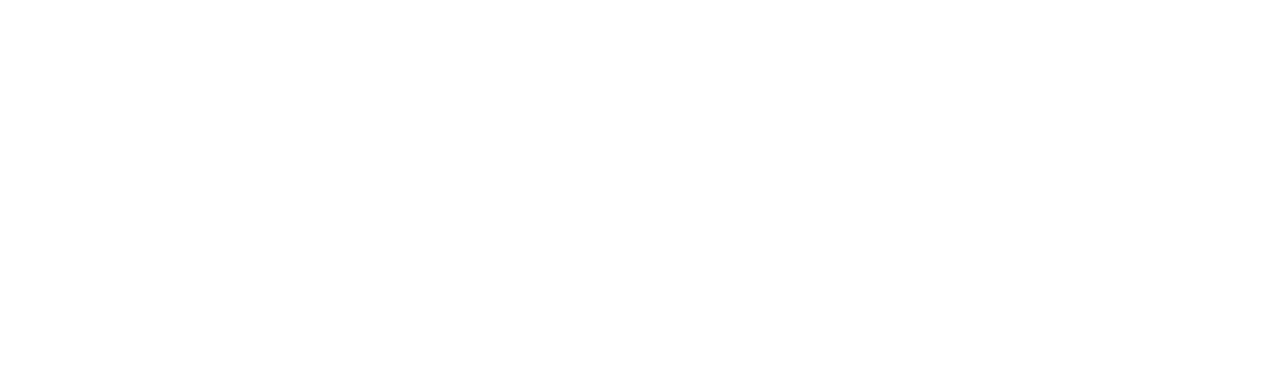 bsg final logo white